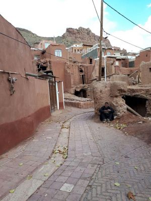 سفر تیم طبیعت گردی مرکز به کاشان ، روستای ابیانه و منظقه کویری: عکس شماره 3 / 12